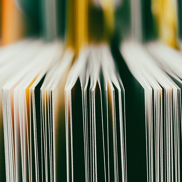 A row of documents or books